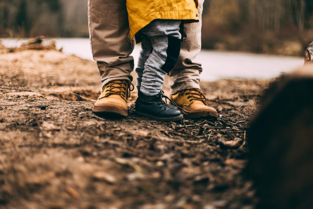 Dominium Capital estate planning and wills